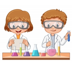 School Labware Equipment